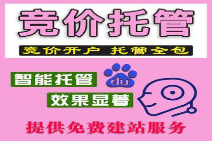 百度竞价托管运营策略案例分析